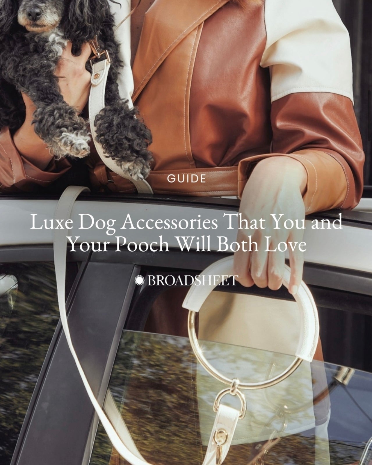 Bourke St the Label - Broadsheet Guide Luxe Dog Accessories