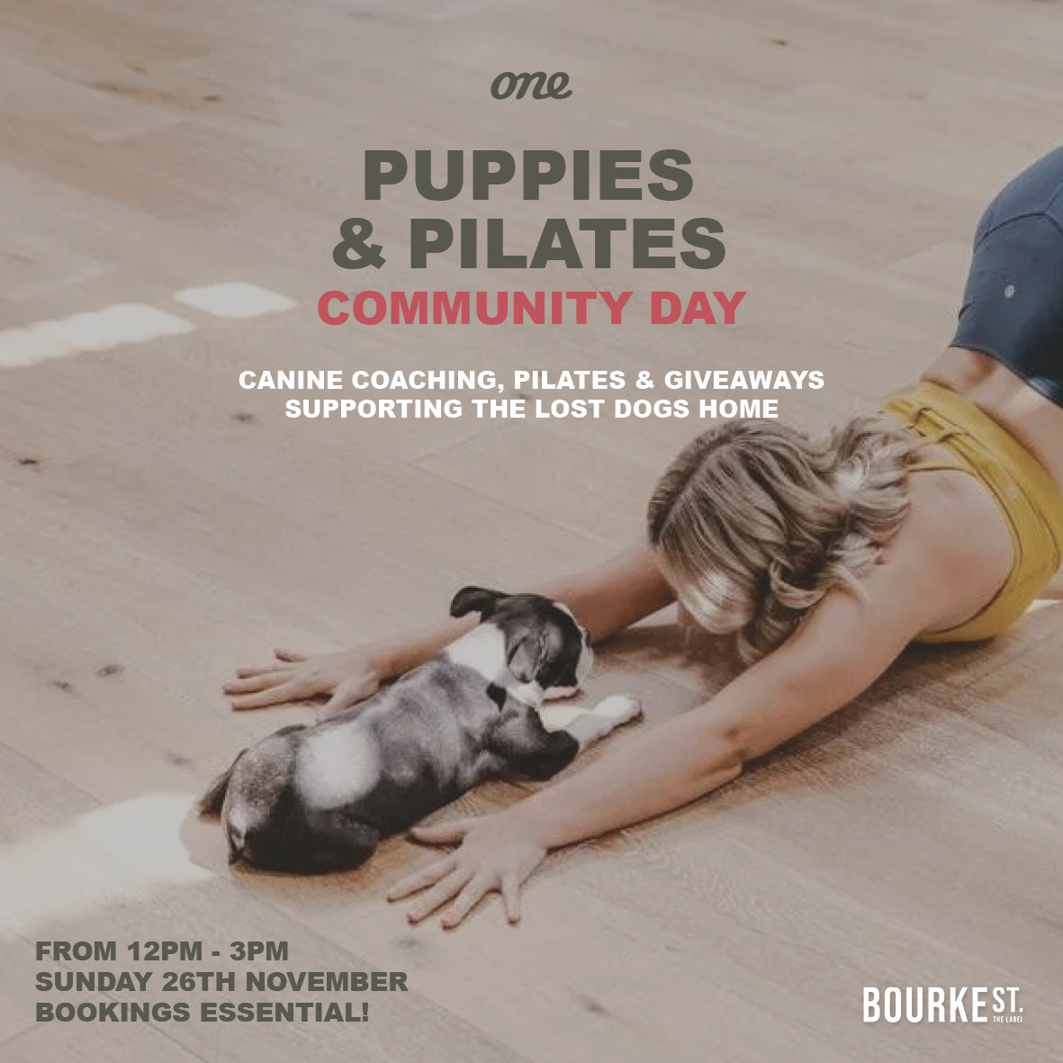 Bourke St the Label - One Hot Yoga - Puppies and Pilates Charity Day