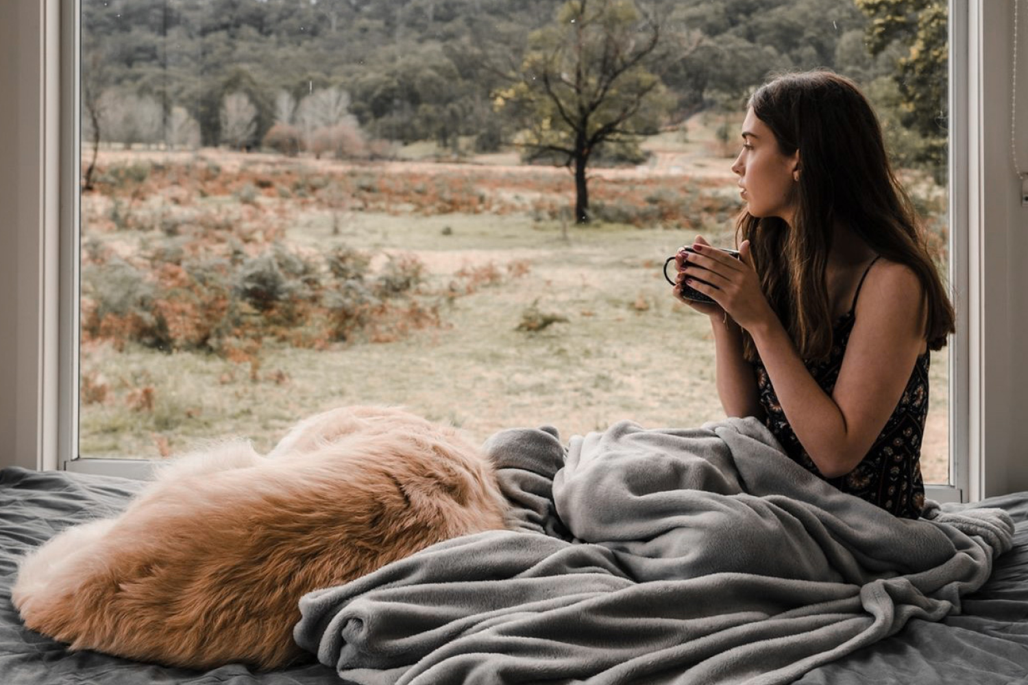 Dog friendly weekend deals getaways