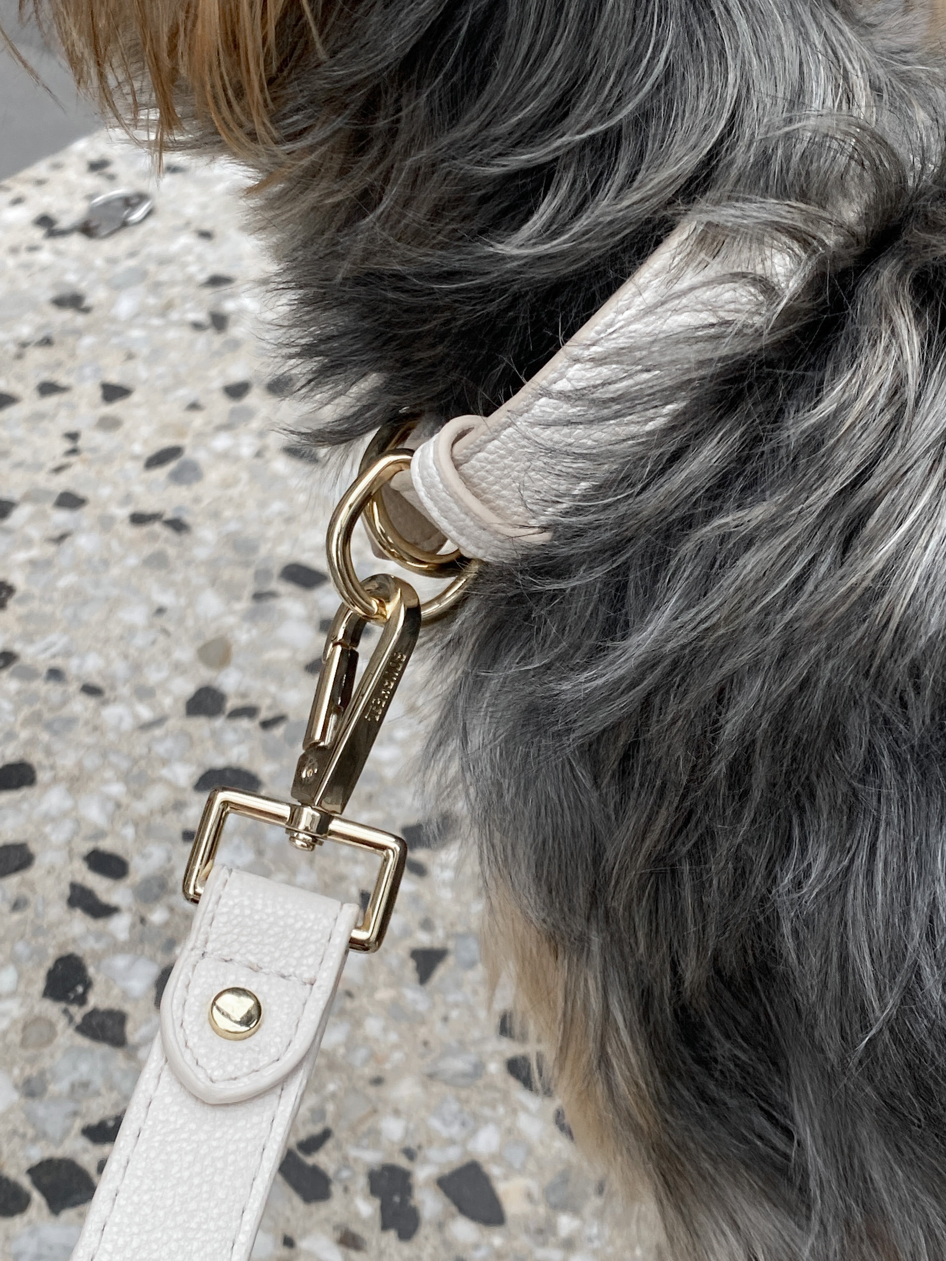 Cream Leather Dog Collar