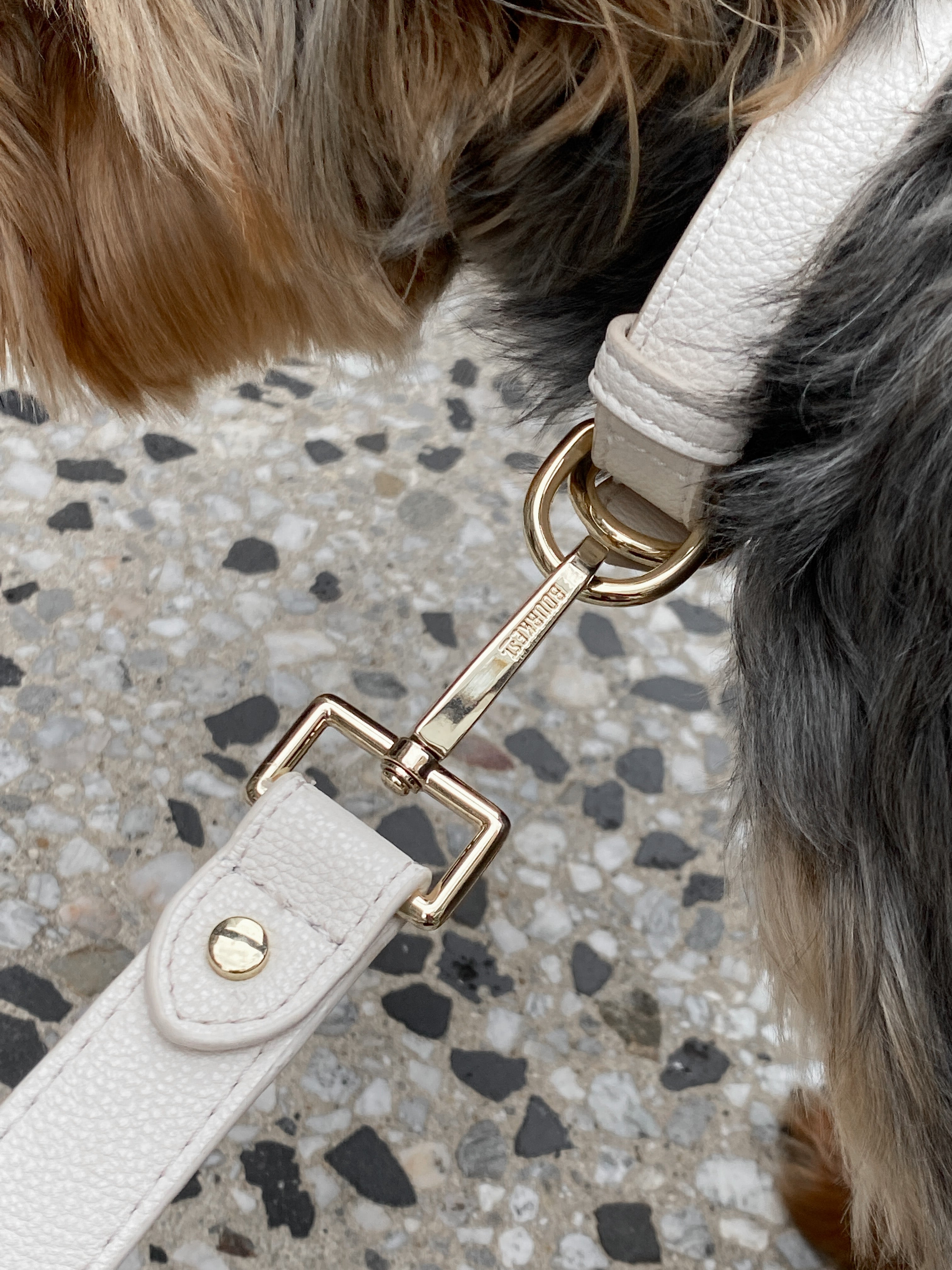 Designer Cream Leather and Rose Dog Collars in Melbourne | Bourke St ...